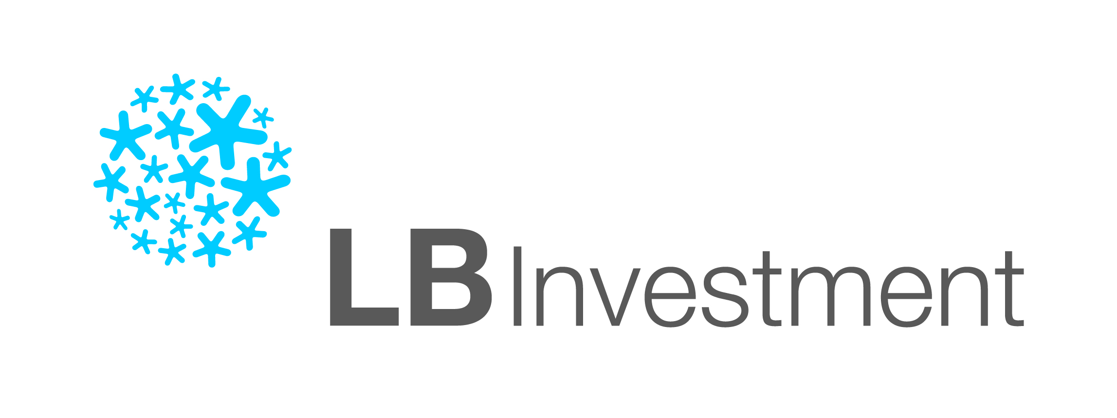LB投资