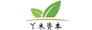 丫木资本