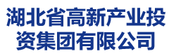湖北省高新产业投资集团有限公司