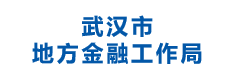 武汉市地方金融工作局