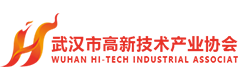 武汉市高新技术产业协会