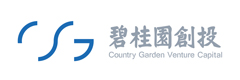 碧桂园创投