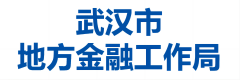 武汉市地方金融工作局