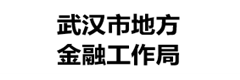 武汉市地方金融局