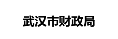 武汉财政局