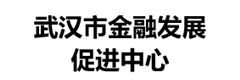 武汉市金融发展促进中心
