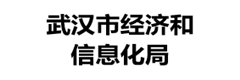 武汉市经信局