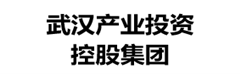 武汉产业投资控股集团