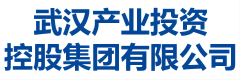 武汉产业投资控股集团有限公司