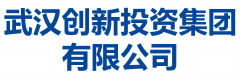 武汉创新投资集团有限公司