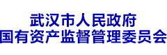 武汉市人民政府 国有资产监督管理委员会