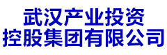 武汉产业投资控股集团有限公司