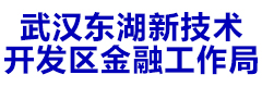 武汉东湖新技术开发区金融工作局