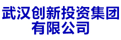 武汉创新投资集团有限公司