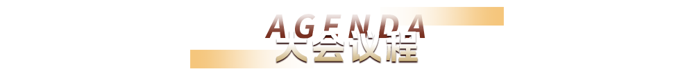 大会议程