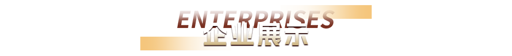 企业展示