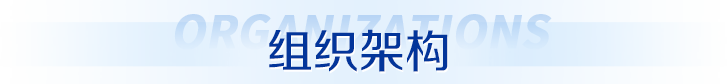 组织架构