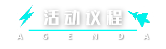 大会议程