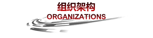 组织架构