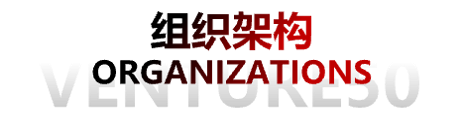 组织架构